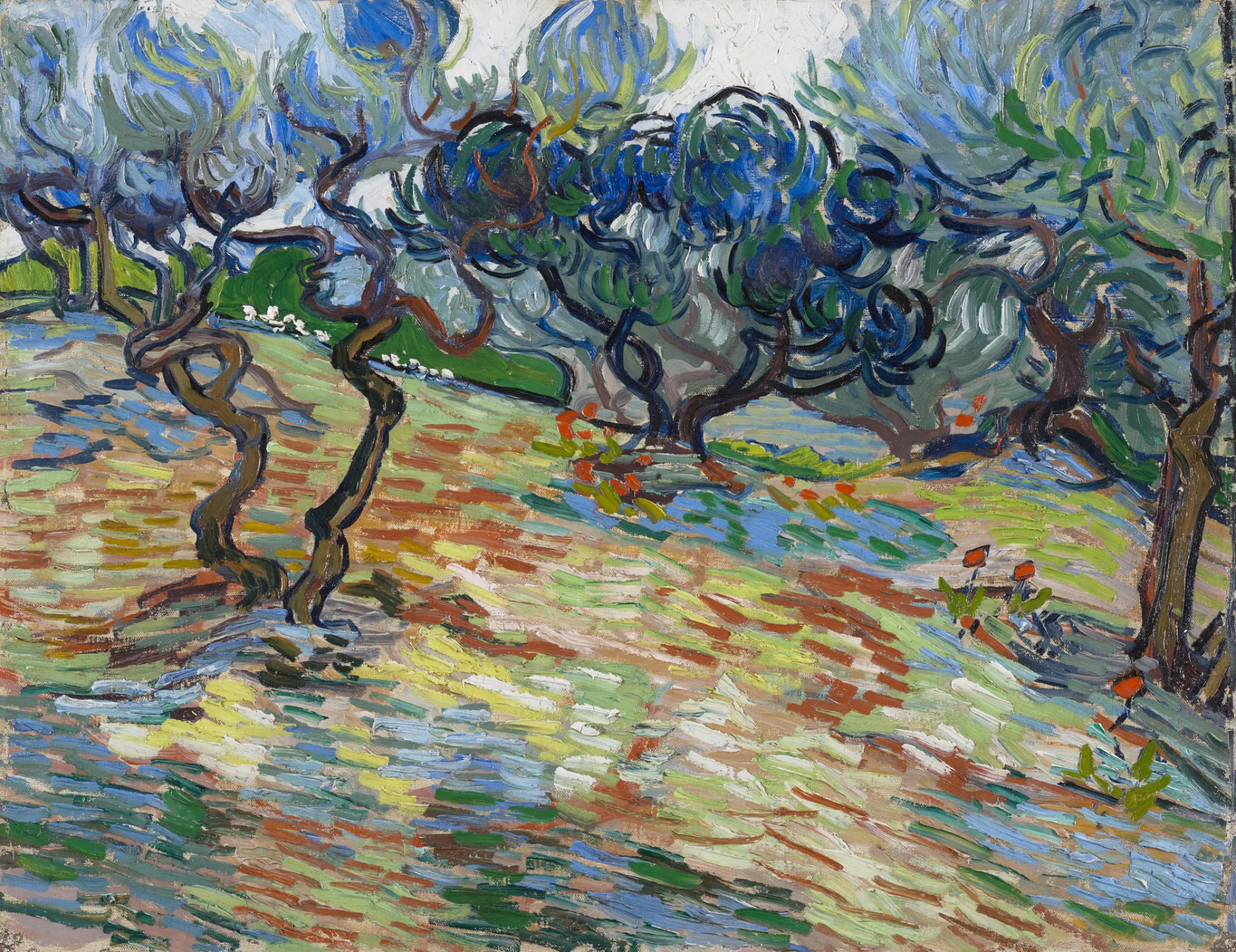 Olive Trees (Van Gogh, 1889, National Galleries of Scotland, Edinburgh)